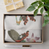 Het kabinet van Oriental Entomology Pl III Tissuepapier (Geschenk)