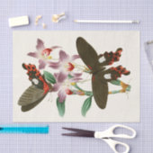 Het kabinet van Oriental Entomology Pl III Tissuepapier (Craft)