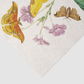 Het kabinet van Oriental Entomology Pl XIII Tissuepapier (Detail)