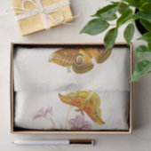 Het kabinet van Oriental Entomology Pl XIII Tissuepapier (Geschenk)