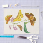 Het kabinet van Oriental Entomology Pl XIII Tissuepapier (Craft)