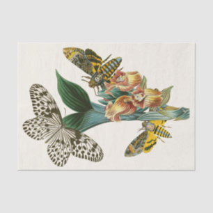 Het kabinet van Oriental Entomology Pl XLI Tissuepapier