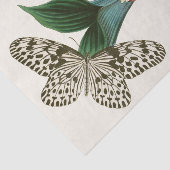 Het kabinet van Oriental Entomology Pl XLI Tissuepapier (Detail)