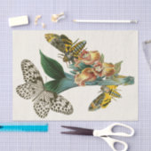 Het kabinet van Oriental Entomology Pl XLI Tissuepapier (Craft)