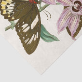 Het kabinet van Oriental Entomology Pl XV Tissuepapier (Detail)