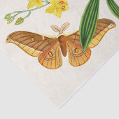 Het kabinet van Oriental Entomology Pl XX1 Tissuepapier (Detail)