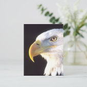 Het kale Portret van Eagle, leucocephalus Briefkaart (Staand voorkant)