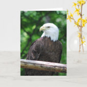 Het kale Wenskaart van de Vogel van Eagle Kaart (Gele Bloem)