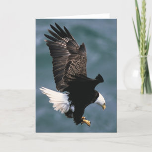 Het kale Wenskaart van Eagle Kaart