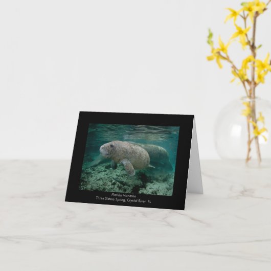 Het Kalf van Manatee Kaart (Gele Bloem)