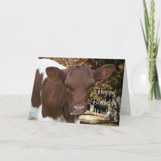 Het kalf van Pinzgauer tansy-past om het even Kaart (Voorkant)