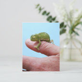 Het kameleonperspectief van het baby briefkaart (Staand voorkant)