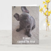 *HET KAN NIET WAAR ZIJN** 21e VERJAARDAGSCARD Kaart (Gele Bloem)