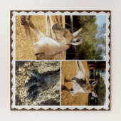 Het Kangaroo Afbeelding Collage, Jigzaag Puzzle Legpuzzel (Horizontaal)