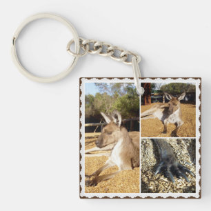 Het Kangaroo Afbeelding Collage, Keyring Sleutelhanger