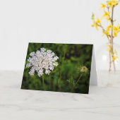 Het Kant van koningin Anne, kaart (Gele Bloem)