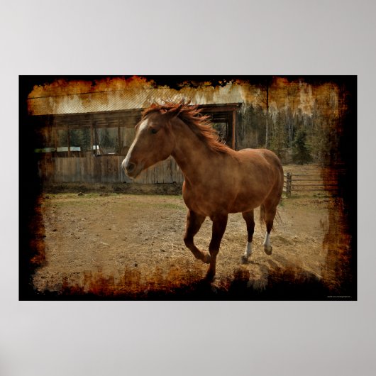 Het Kanteren van Sorrel Horse komt naar huis aan d Poster (Voorkant)
