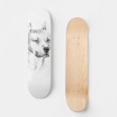 Het karton van de Pitbull Persoonlijk Skateboard (Voorkant)
