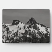 Het kasteel en Pinnacle Fotoplaat (voorkant)