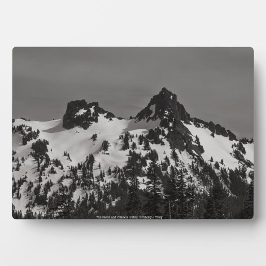 Het kasteel en Pinnacle Fotoplaat (voorkant)