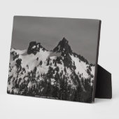 Het kasteel en Pinnacle Fotoplaat (Zijkant)