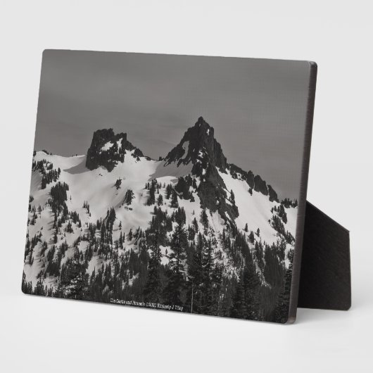 Het kasteel en Pinnacle Fotoplaat (Zijkant)