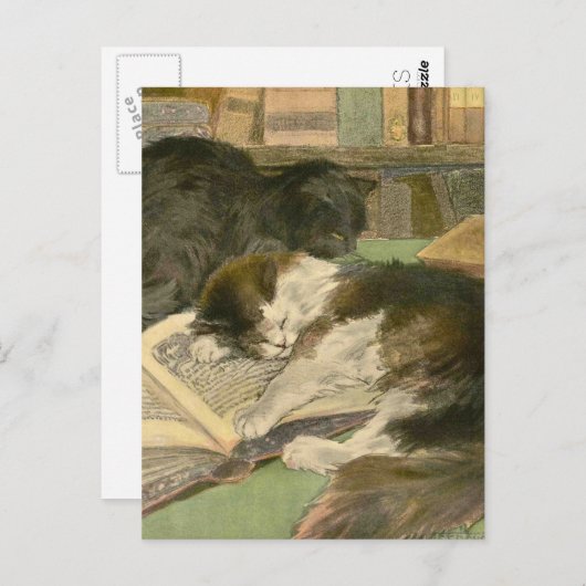 Het kat: Grote Panjandrum Briefkaart (Voorkant / Achterkant)