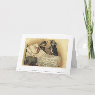 Het Kat krijgt een goede Kaart