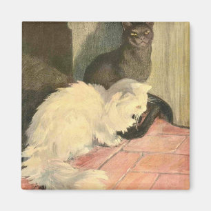 Het kat: Snowball en Ebony Magneet