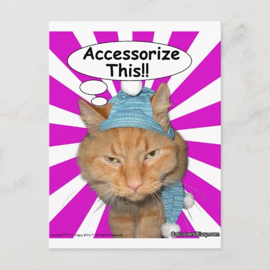 Het Kat van de hippy geeft dit! Briefkaart (Voorkant)