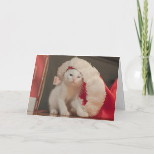 Het Kat van de kerstman Feestdagen Kaart
