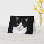 Het kat van de smoking kaart (Gele Bloem)