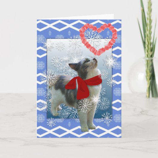 Het kat van de sneeuw, Valentijn Feestdagen Kaart (Voorkant)