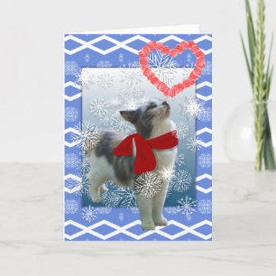 Het kat van de sneeuw, Valentijn Feestdagen Kaart
