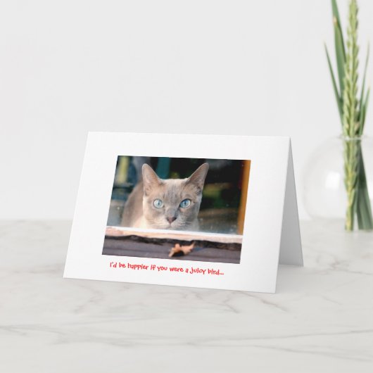 Het Kat van de vakantie Feestdagen Kaart (Voorkant)