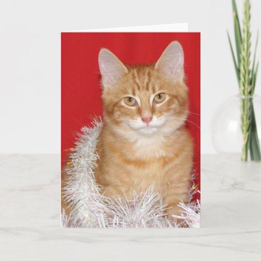 Het kat van Kerstmis Feestdagen Kaart (Voorkant)