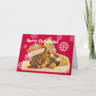 Het Kat van Kerstmis Feestdagen Kaart