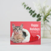 Het kat van Kerstmis Feestdagenkaart (Staand voorkant)