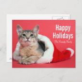 Het kat van Kerstmis Feestdagenkaart (Voorkant / Achterkant)