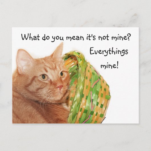 Het kat van Pasen Feestdagenkaart (Voorkant)