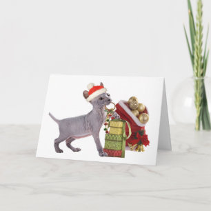 Het Katje ChristmasCards van Sphynx Feestdagen Kaart