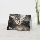 Het katje en de Kat danken u Bedankkaart (Voorkant)