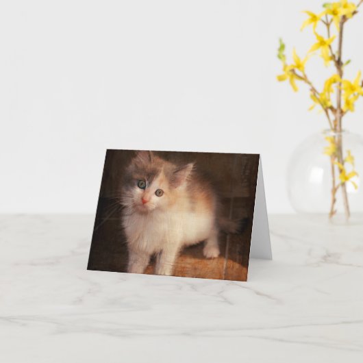 Het Katje Notecard van het calico Kaart (Gele Bloem)