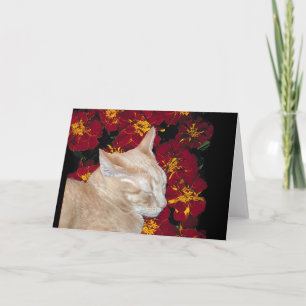 Het Katje van Cheshire in Goudsbloemen Kaart