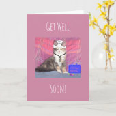 Het katje van de hoofdverpleger wordt goed spoedig kaart (Gele Bloem)