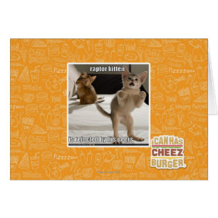 Het Katje van de roofvogel