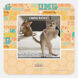Het Katje van de roofvogel Vierkante Sticker