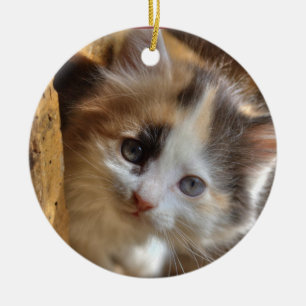 Het Katje van het Calico van Heterochromia Keramisch Ornament