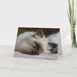 Het katjesKerstkaart van Ragdoll Feestdagen Kaart
