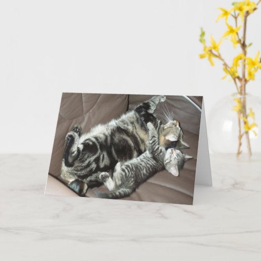 Het katkaart van vaderdag kaart (Gele Bloem)